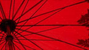 loic furhoff YERwza88a0o unsplash@2x