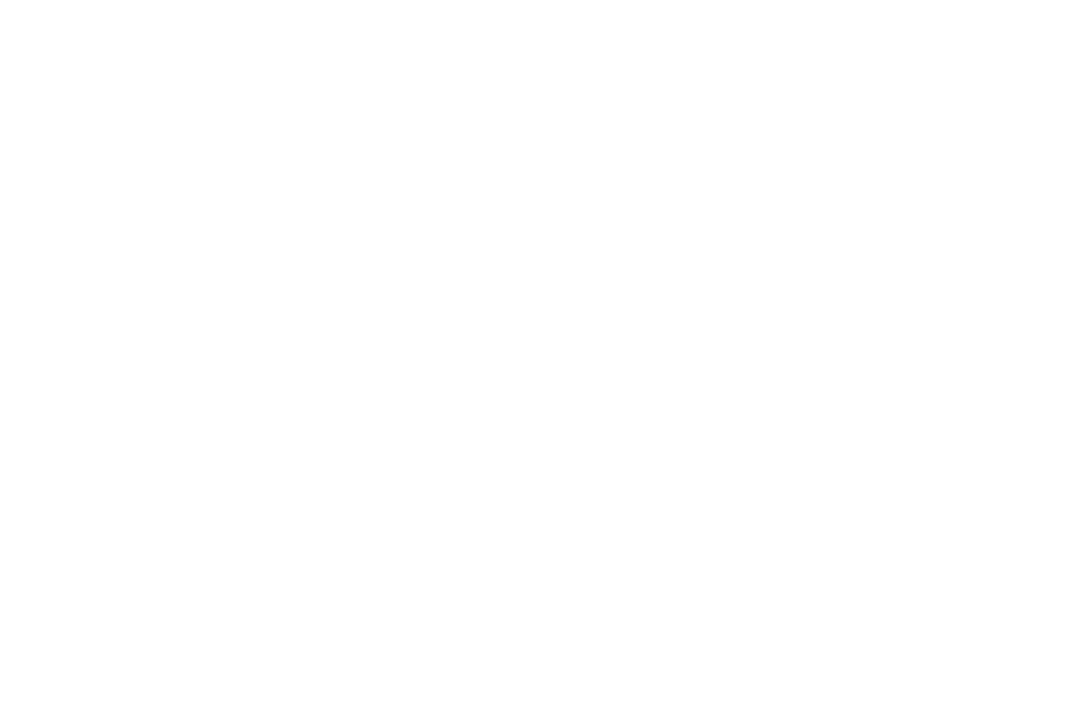 Logo Footer Logo Footer